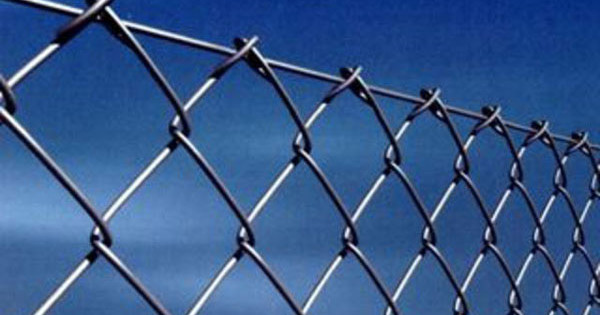 Hvilket nett å velge for gjerdet: netting, sveiset, rillet, plast
