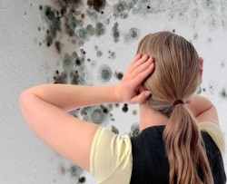 mold i leiligheten 2