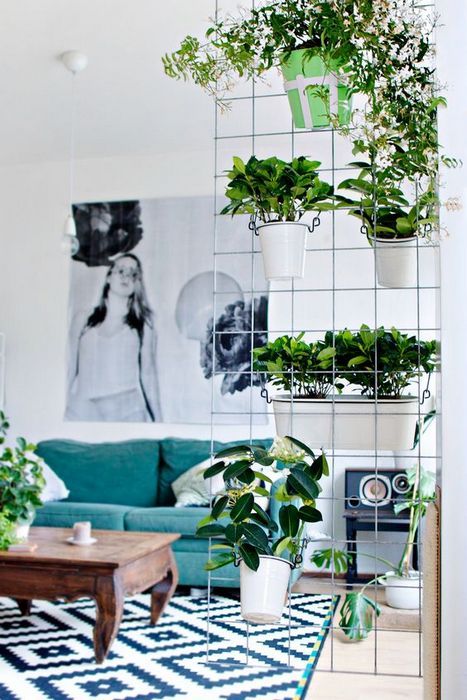 Leilighetsdesign i moderne stiler: 11 tips for organisering + bilder