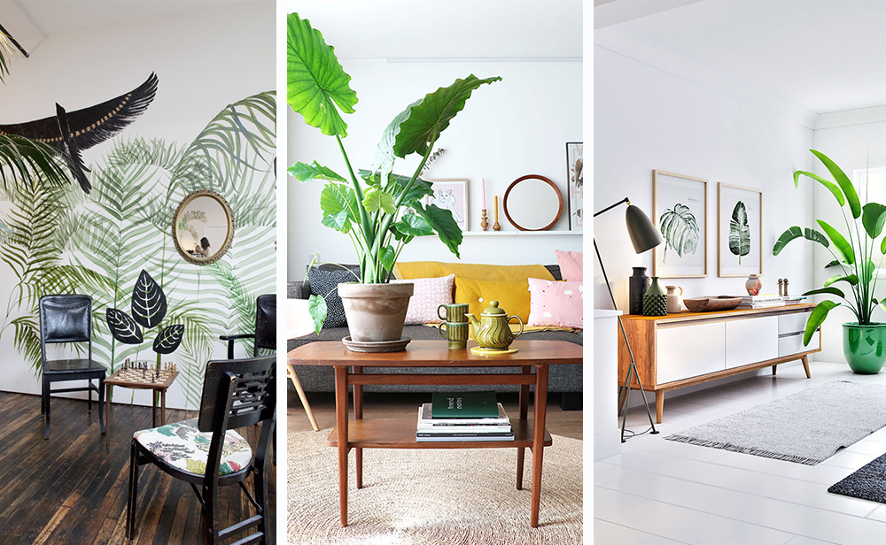 Tropisk stil i interiøret - 6 tips for å lage + foto
